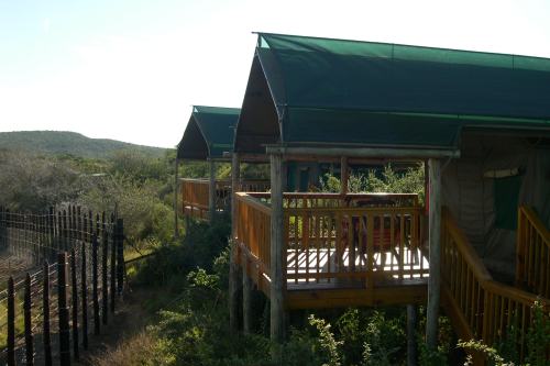 Addo Main Camp (1)